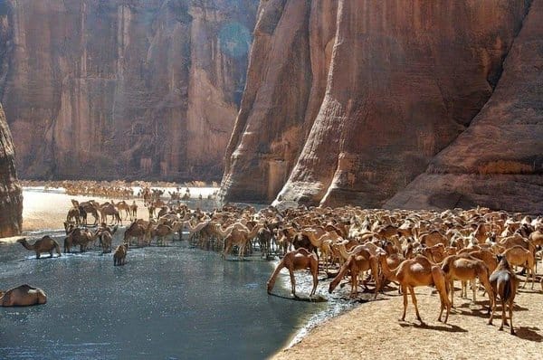 محمية وادي الجمال أجمل بقاع الأرض في مصر