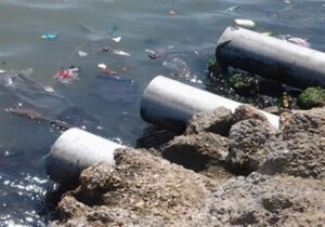 تلوث نهر النيل يهدد قلب مصر
