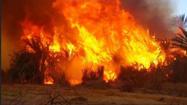 نشوب حريق داخل مزرعة بمركز سيوة بمحافظة مرسى مطروح
